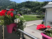 Art Apart Nomay Summercard Blick Top of Salzburg - غرفة مطلة على الجبل