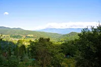 Lionforti Da Vico