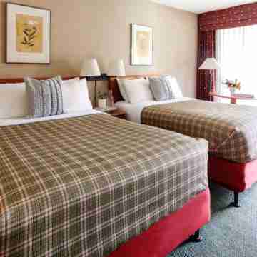 Marmot Lodge Jasper Rooms