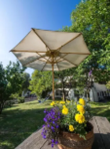 Gasthof Zur Sonne Hotels near Paradiso