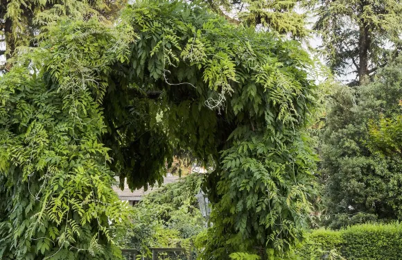 貝翠絲埃斯特酒店