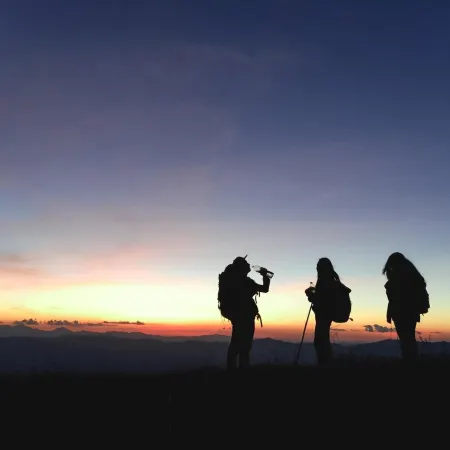 Paradise Wild Hills