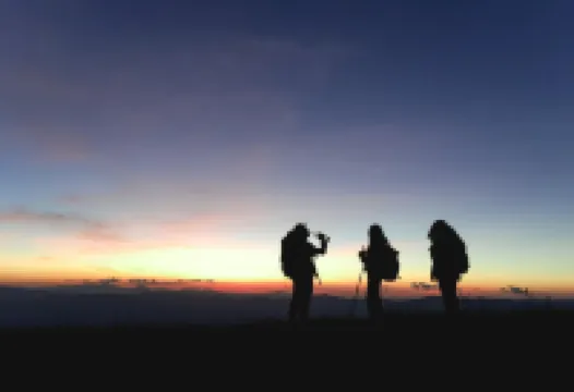 Paradise Wild Hills Kodachadri