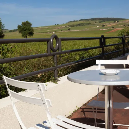 Kyriad Prestige Beaune - le Panorama