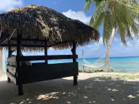 Le Coconut Lodge - Ocean View
