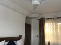 市中心的處女們 埃爾米納酒店