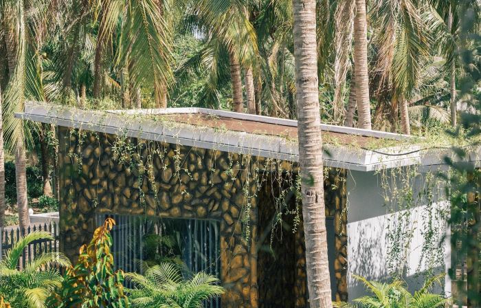 Homestay Bao Binh