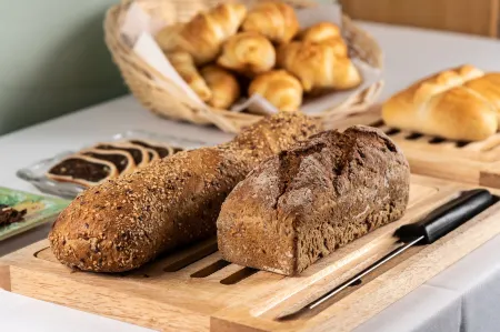 Hotel Birsighof Basel City Center