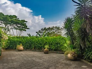 Finca Rosa Blanca Coffee Farm and Inn