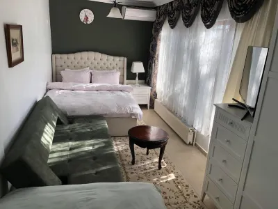 펙칸 오텔 Burhaniye 호텔
