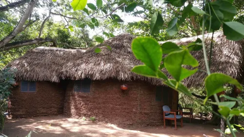 Selous Adili Forest Camp