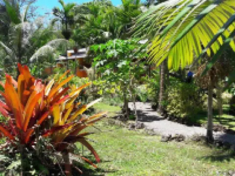 Villas del Caribe Hotels in Cocles