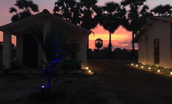 The Coconut