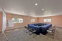 Butterfly Beach Hotel Hotels in Silver Sands