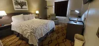 Cottonwood Inn and Conference Center Hoteles en South Sioux City
