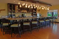 Hilton Garden Inn Guanacaste Airport - bar