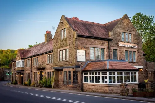 The Strutt Arms Hotel at the Elephant & Peacock - bar