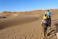 Galaxy Desert Camp Merzouga