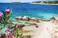 Vila Fenč - Beach