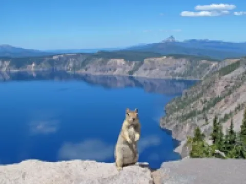 Townhouse Inn & Suites Hotels in Altamont