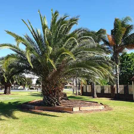 The Finley Palm Motor Inn