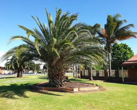 芬利棕櫚汽車旅館 芬利酒店