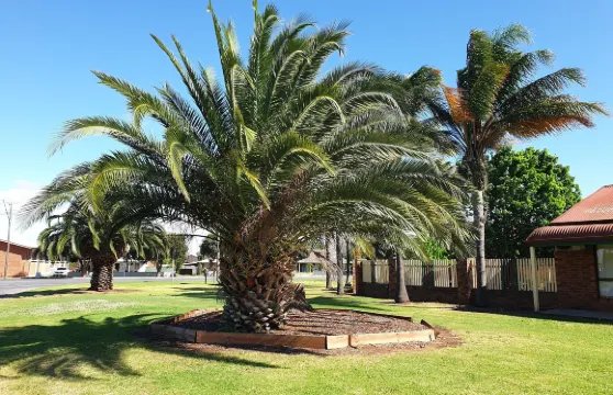 芬利棕櫚汽車旅館