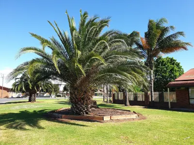 The Finley Palm Motor Inn