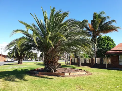 The Finley Palm Motor Inn Hotels in Finley