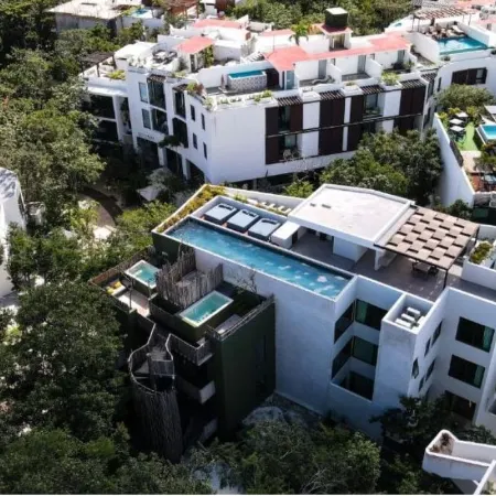 Azalea by Zamá Homes