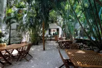 Hotel Casa Barbara Holbox Hotels near Balam Art On Feathers