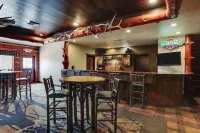 Stoney Creek Hotel Columbia - bar
