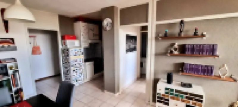 擁有壯麗景色的時尚日內瓦公寓