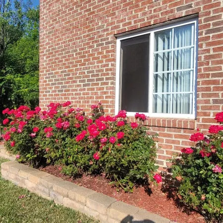 Affordable Suites of America Harrisonburg