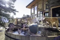 Luxury ranch cabin for 12, dog friendly with hot tub, private valley with creek!