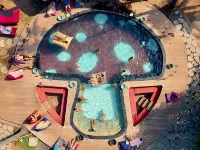 The Social - Begadang Gili Air - Pet friendly