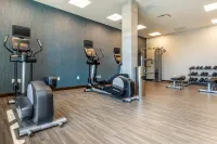 Holiday Inn Express Bettendorf - Davenport NE by IHG - Gym