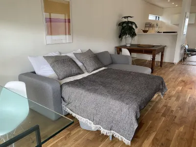 Beautiful guesthouse in the centre of Reykjavik, free parking and free wifi!