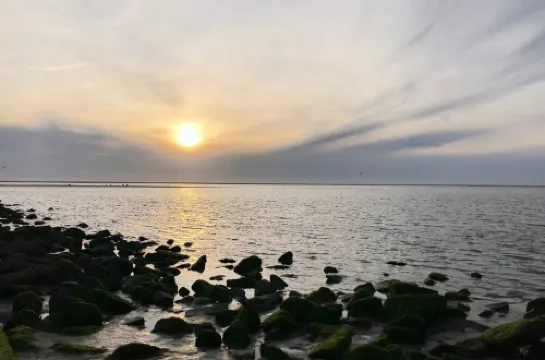 Huus Borkum - throw anchor * feel good * and * enjoy