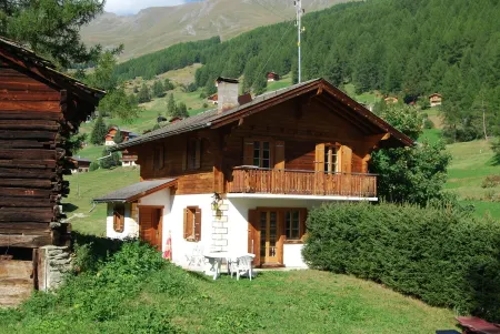 Chalet Le Roitelet Отели в г. Эволен