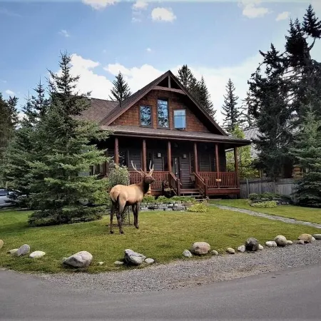 The Cedar - Downtown, walking distance to all the shops and restaurants!