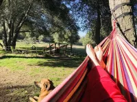 The High Country Hobo Preserve: Rustic Cabin