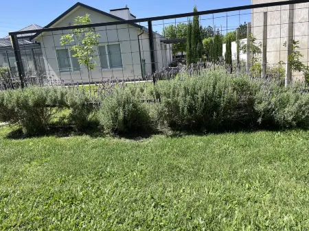 “La Bella Vida”   Is a brand new home enhanced by fabulous comfort! Отели в г. Либертадор Сан Мартин