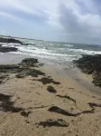 Vacation house for rent by the sea in Southern Brittany