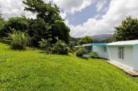 Huge Porch House in Rainforest 15 min from Beach