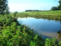 Beautiful fine apartment with garden, meadow, view of water and land Hotels in Dornum