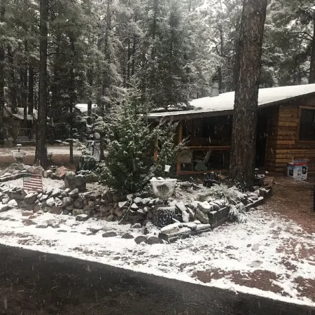 Cabin in The Pines.. Available 240v Tesla and EV charging.
