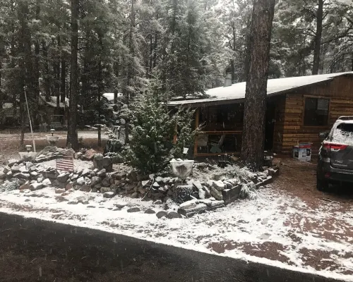 Cabin in The Pines.. Available 240v Tesla and EV charging. Hotels in Heber