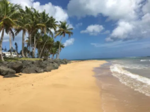 Poolside Penthouse on Natural Caribbean Beach - Listing Updated December 2025 サルサルのホテル