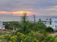 Casa Flores Casitas Hotels in Todos Santos